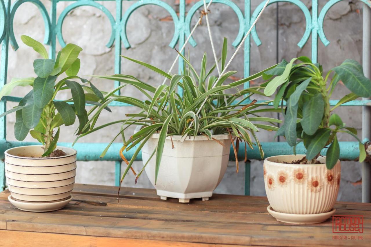 Harmony Homestay - Hanoi Homestay In Old Quarter Екстериор снимка